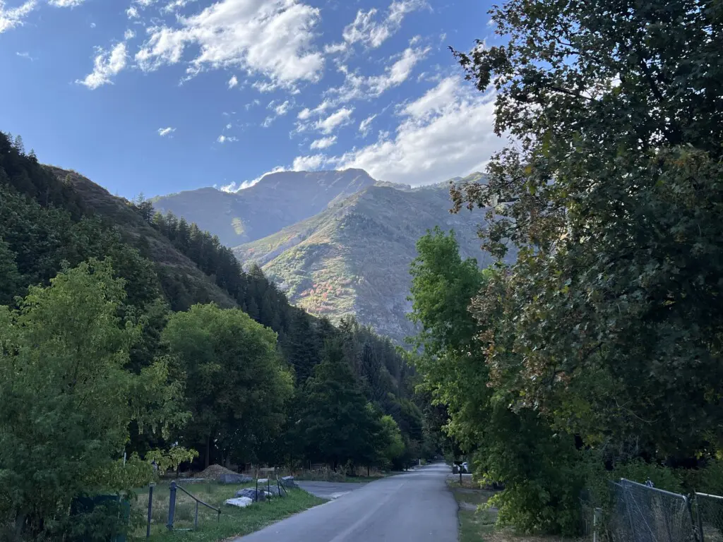 02c95a41be254f35821d6b48f50369f1 LargeOriginal.jpg