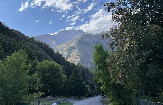 02c95a41be254f35821d6b48f50369f1 LargeOriginal.jpg